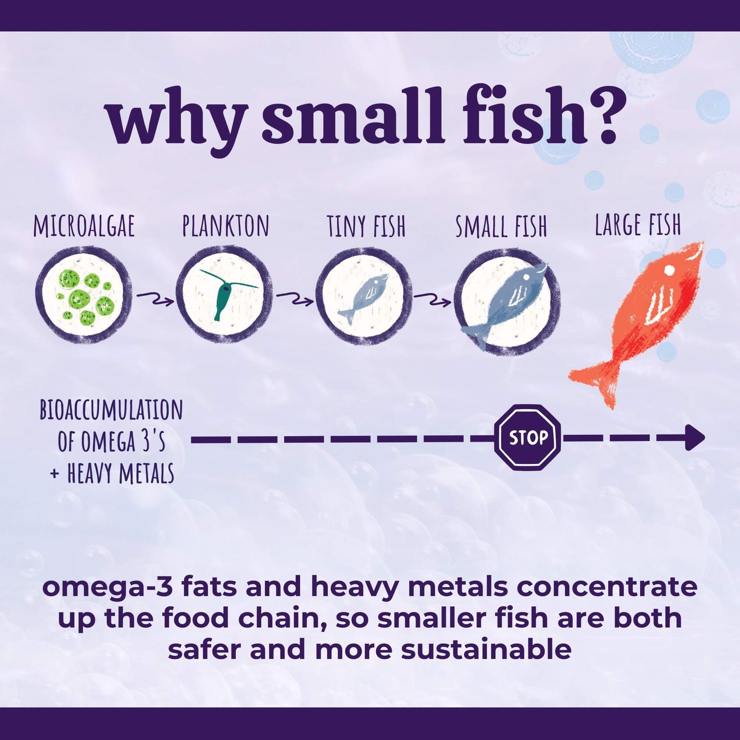 REWARD Austin's Everything Oil - Austin and Kat