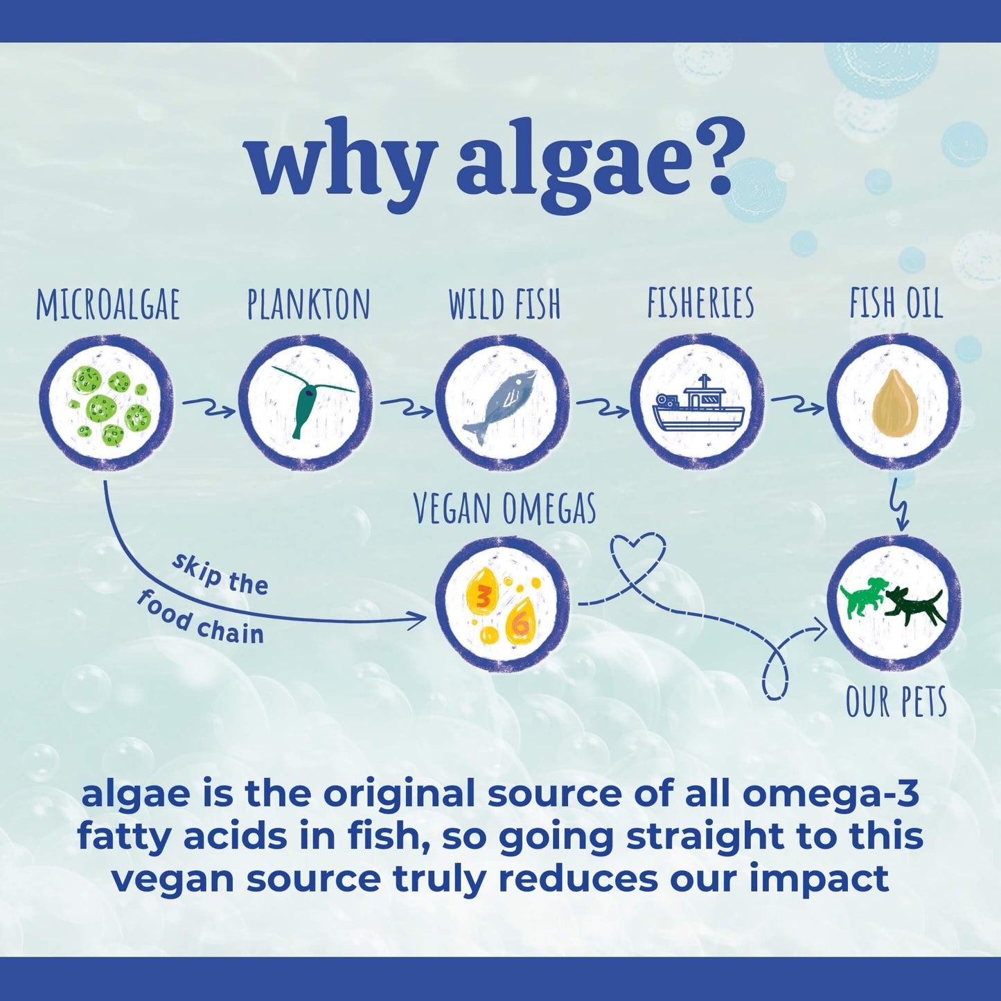 Bottle of Austin and Kat Marine Algae Oil omega supplement showing the label and cap on a white background.