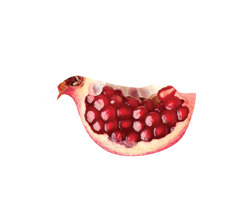 Pomegranate