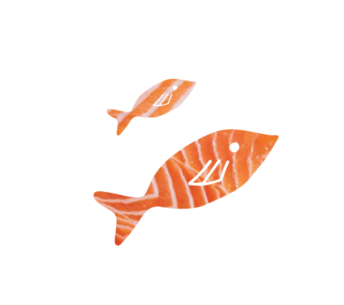 Salmon Oil