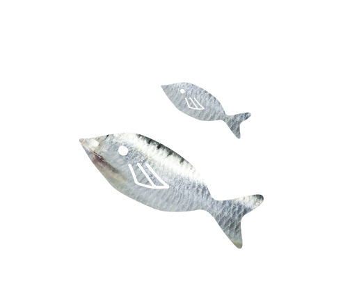 Sardine Oil