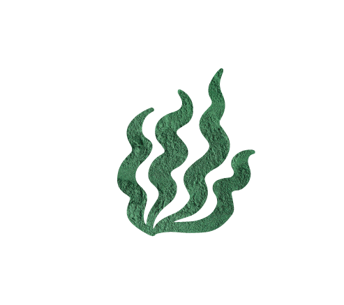 Spirulina