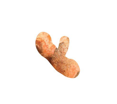 Longvida Optimized Curcumin®