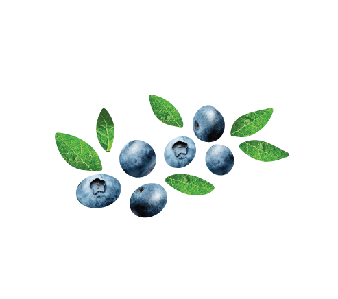 Blueberries