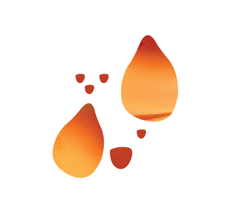 L-Cartinine