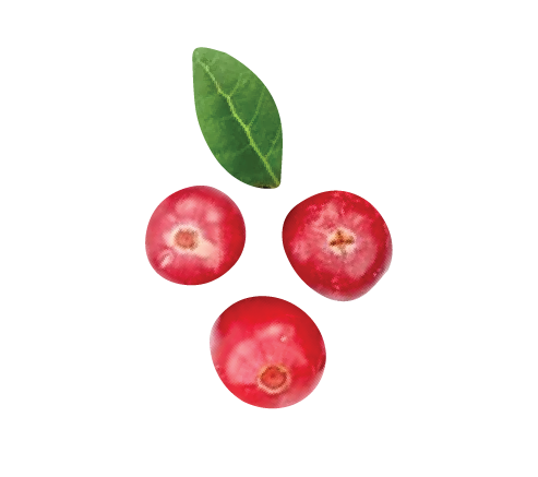 Cranberries