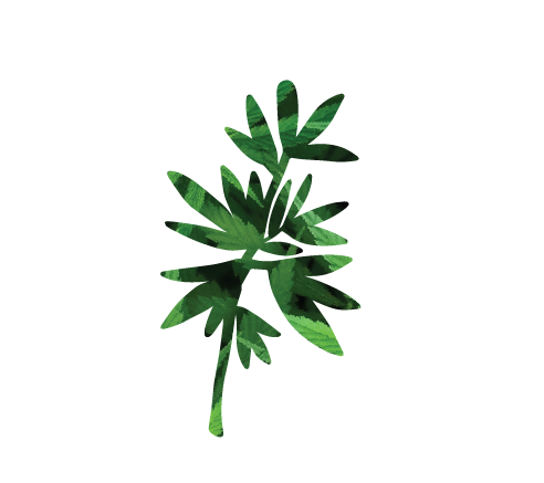 Hemp