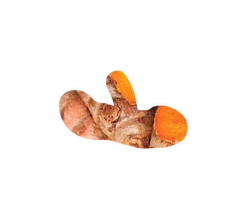 Turmeric