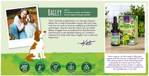 Real life inspiration for this calming botanical and CBD oil formula - Springer Spaniel Bailey and Austin and Kat founder’s daughter in image. With text describing formula creation: 'a relaxing chew to help settle those wiggles and support a calm and happy pup.' Soothing botanical formulation of premium hemp extract and helpful botanicals including lavender and chamomile. Icons: 3rd party tested, effective dosing, female-founded, clean ingredients, high active ingredients.