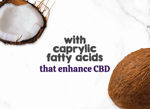 Austin and Kat CBD Hemp Chews for Dogs featured ingredients organic coconut oil with caprylic fatty acids to enhance CBD