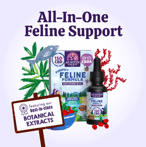 Austin and Kat Feline Support CBD Oil for cats combines best in class botanical extracts with minimally processed whole plant hemp extract, rich in CBD + CBDA, for all-in-one feline support.