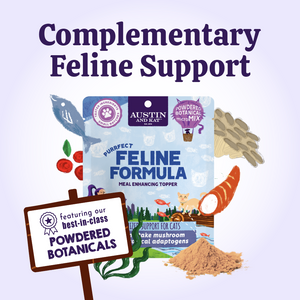 Austin and Kat Feline Support for cats supplement meal powder combines best in class mushroom and botanical powders for complementary feline support.