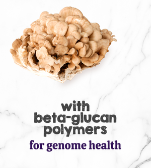 Austin and Kat Feline Support for cats botanical topper featured ingredient maitake mushroom with beta-glucan polymers for genome health.