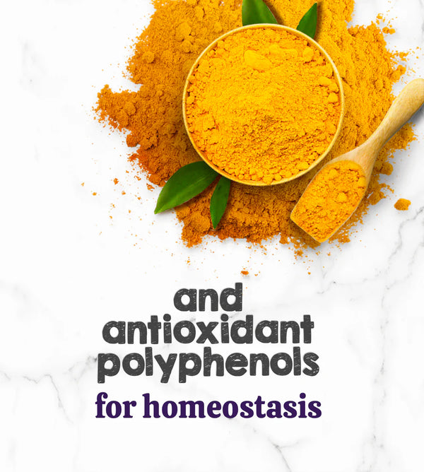 featuring optimized curcumin
