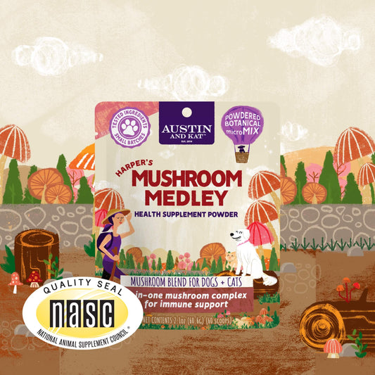 Mushroom Immunity Powder - Austin and Kat