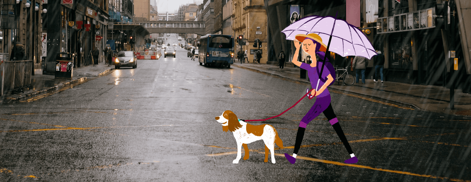 Discover Peace with Austin and Kat's Dog Calming CBD Oil - Expertly crafted to provide serenity for your canine companion. Infused with the tranquil essence of lavender, chamomile, and passionflower, powered by the goodness of our new BLEND#4 whole plant hemp extract with CBD+CBDA.