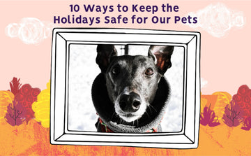 10 Ways to Keep the Holidays Safe for Our Pets