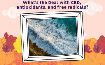 What’s the Deal with CBD, antioxidants, and free radicals?