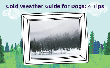 Cold Weather Guide for Dogs: 4 Tips
