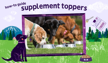 How to Use Toppers for Dogs and Cats
