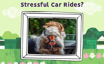 Stressful Car Rides?