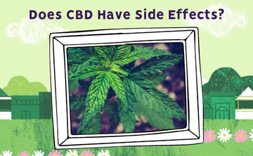 cbd side effects