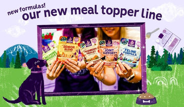 Introducing Our Newest Line of Toppers
