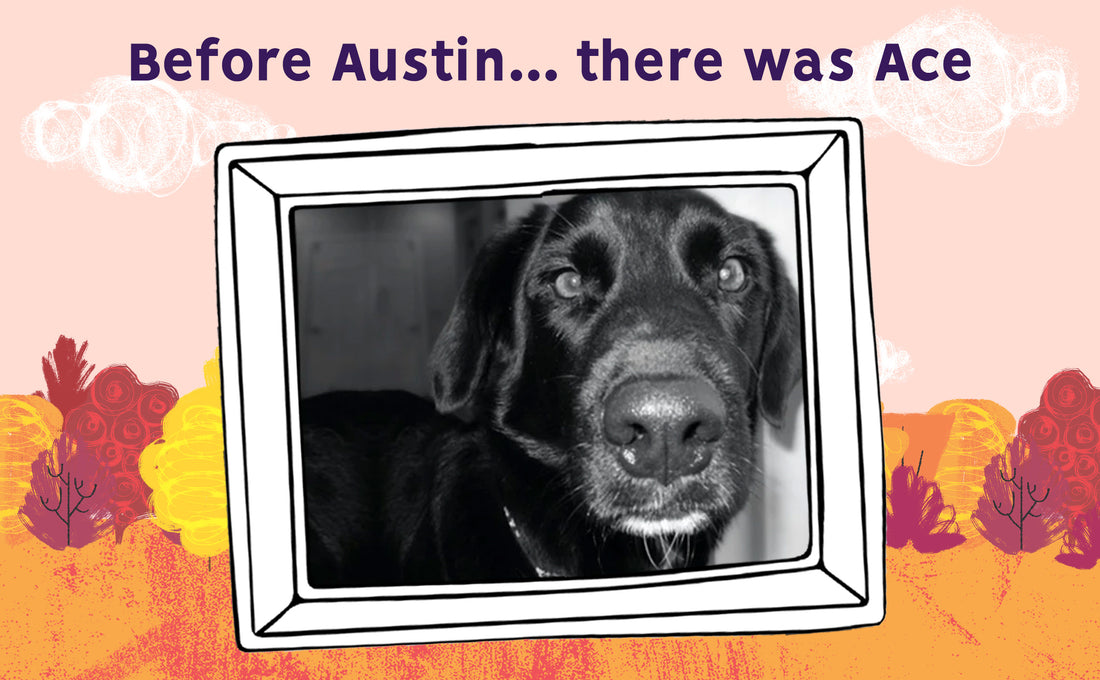 Before Austin . . .  there was Ace.