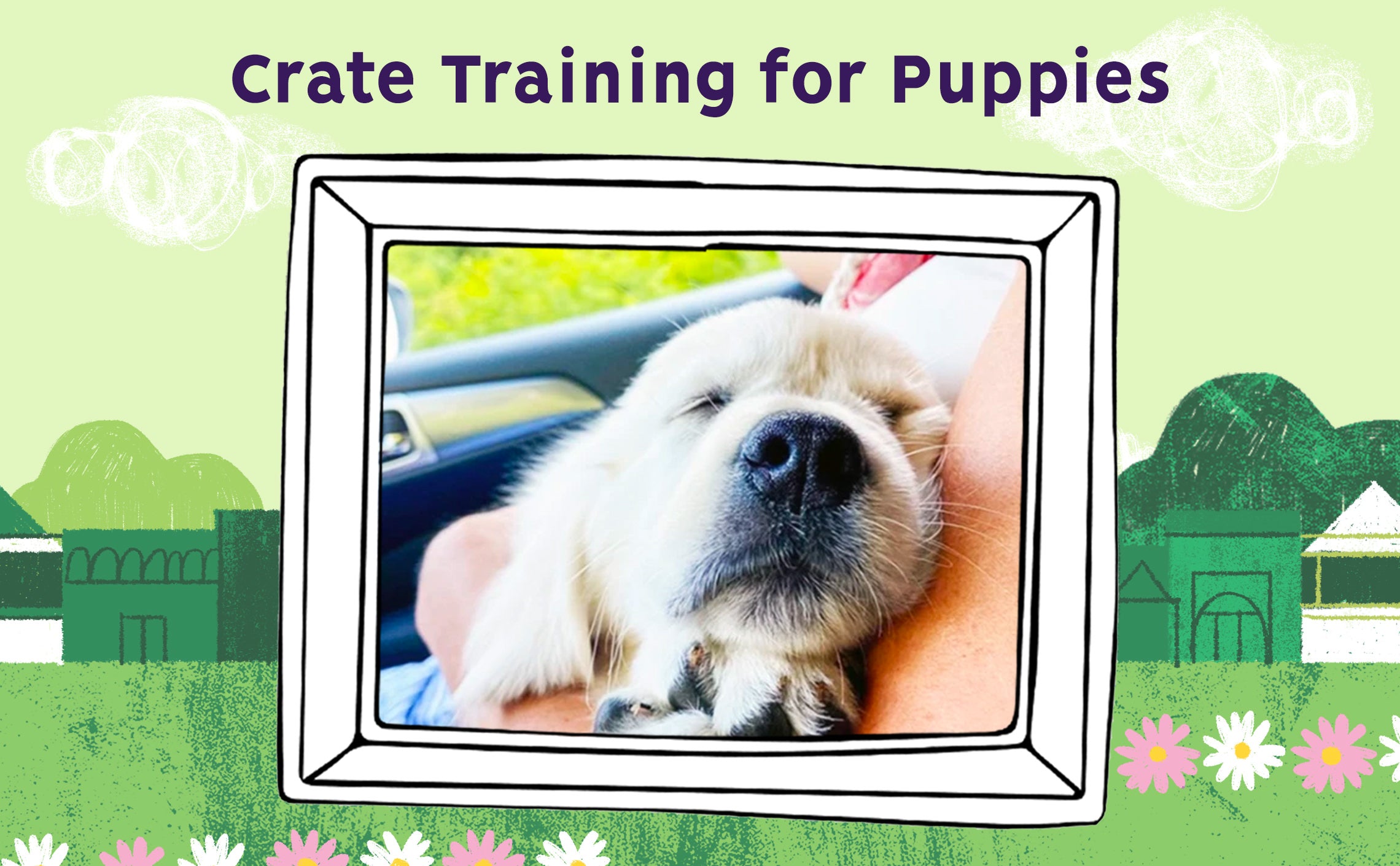 https://www.austinandkat.com/cdn/shop/articles/AK_Blogpost_-_Crate_Train_Puppy_Dog_Tips_2280x.jpg?v=1606166908