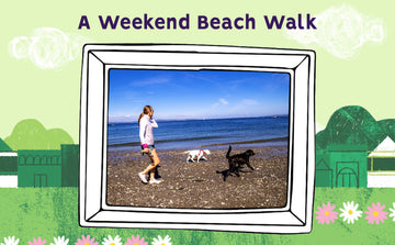 A weekend beach walk