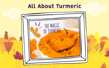 How does turmeric & curcumin help senior dogs?