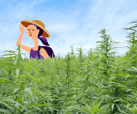 Hemp 101