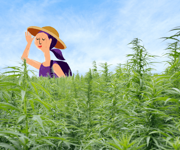 Hemp 101