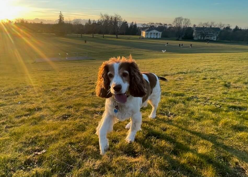 Remembering Bailey