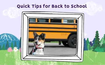 Quick Tips: Back to School