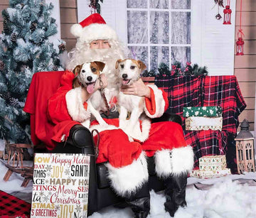 Cabo and Quade love their CBD dog biscuits, and Santa too!