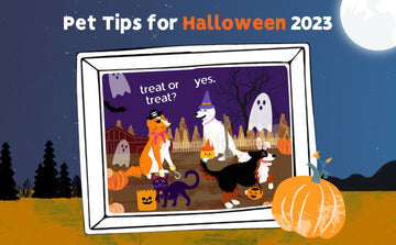 Pet Tips for Halloween 2023
