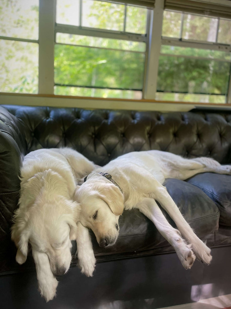 Managing a Full House Around the Holidays