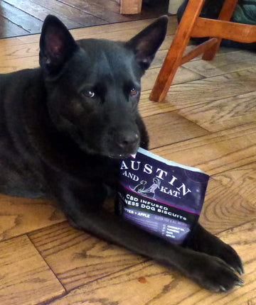 Laika loves her Austin and Kat CBD wellness biscuits.