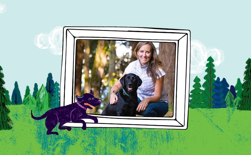 How to Use CBD for Dogs