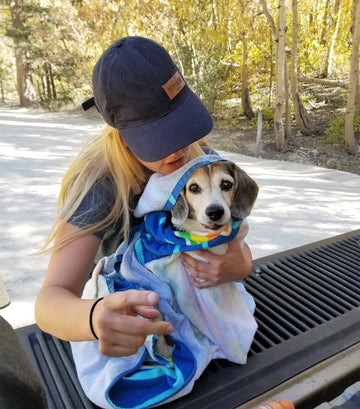 Cola loves his Austin and Kat CBD (and snuggles)