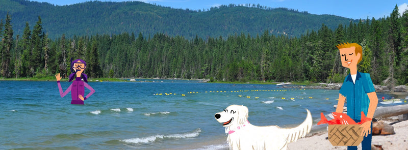 Summer Tips for Pets