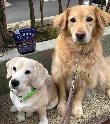 Maggie and Cali