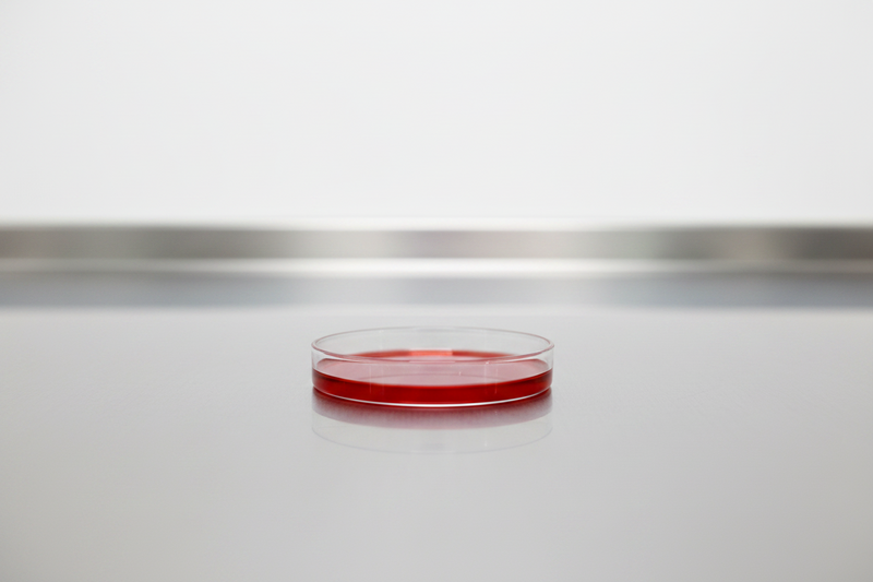 The Red Stuff: My Favorite Ingredient You've Probably Never Heard Of