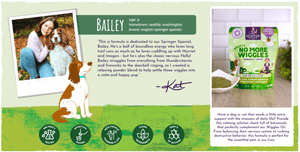 Real life inspiration for this calming botanical and CBD oil formula - Springer Spaniel Bailey and Austin and Kat founder’s daughter in image. With text describing formula creation: 'a relaxing powder blend for the unsettled pets in our lives.' Soothing botanical formulation of helpful botanicals including lavender and chamomile. Icons: 3rd party tested, effective dosing, female-founded, clean ingredients, high active ingredients.