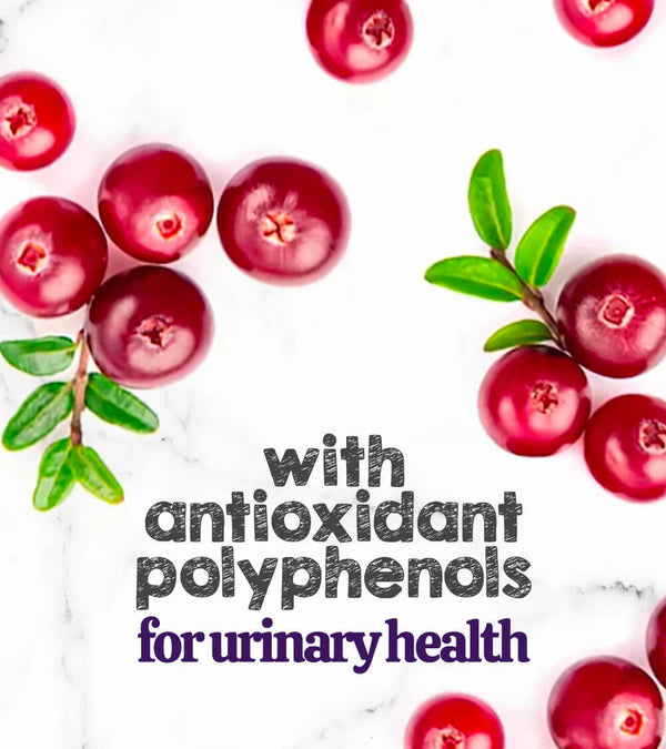 cranberry extract
