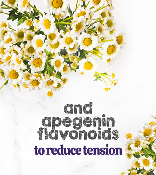 chamomile