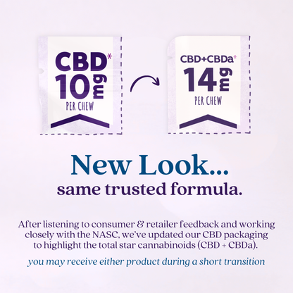 Austin and Kat Classic CBD+CBDa Chews in an oil bottle, featuring natural hemp extract and supplement ingredients.