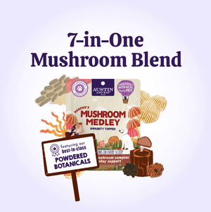 Austin and Kat Organic Mushroom Immune Support support meal powder for dogs combines best in class botanical powders from fruiting organic mushrooms for a 7-in-one mushroom super blend.