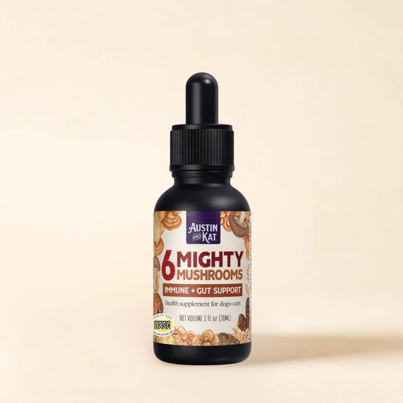 Six Mighty Mushrooms supplement toppers in clear containers, featuring colorful mushroom illustrations for health and wellness.